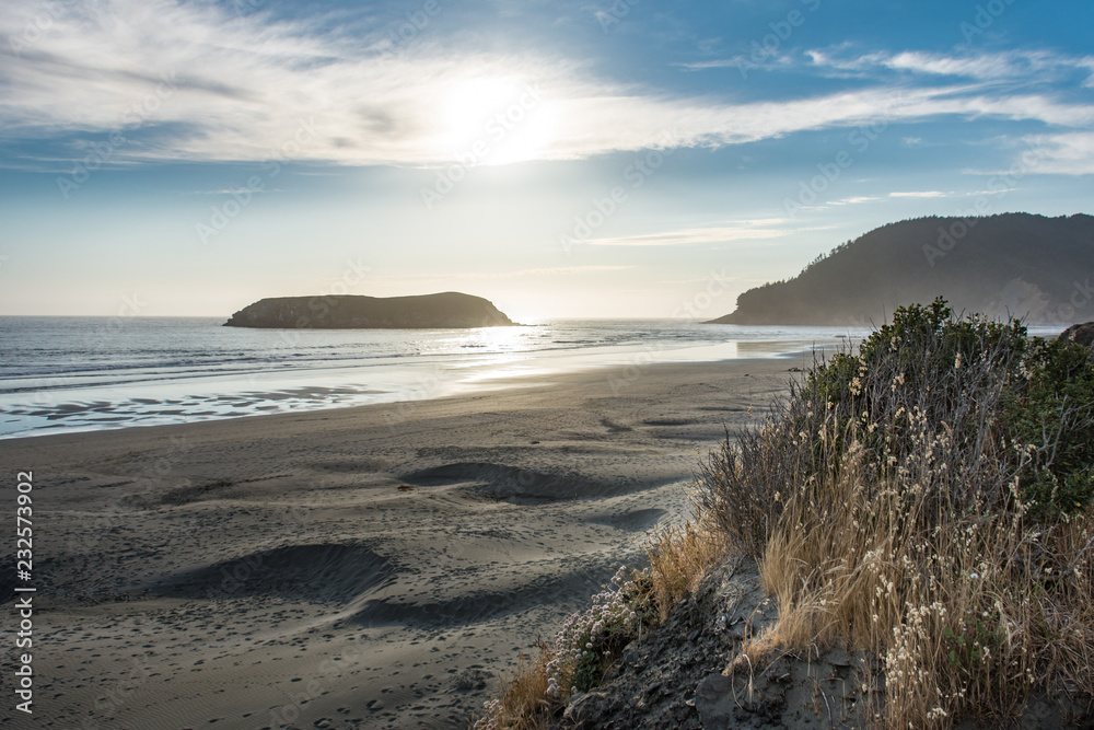 Samuel H Boardman State Beach in Oregon during a golden hour sunset