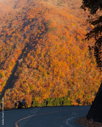 秋の山道