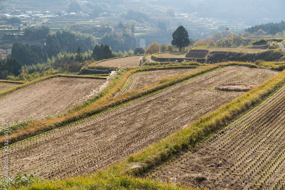 Traditional japanese countryside
