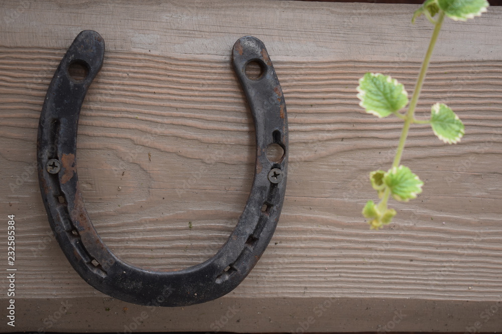 Antique rusty horseshoe fixed on nails on old wooden surface Antique rusty horseshoe fixed on nails on old wooden surface