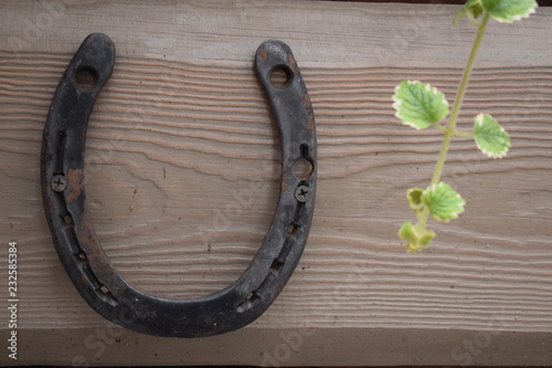 Antique rusty horseshoe fixed on nails on old wooden surface
