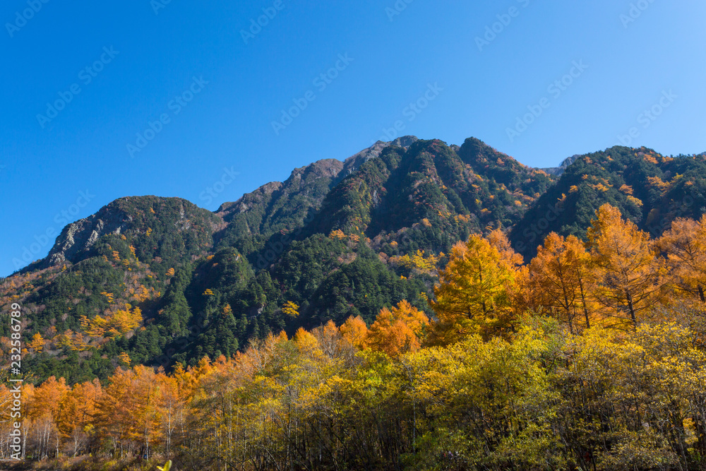 長野県　六百山の紅葉