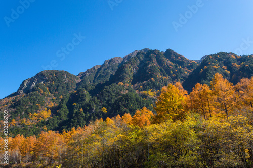 長野県 六百山の紅葉