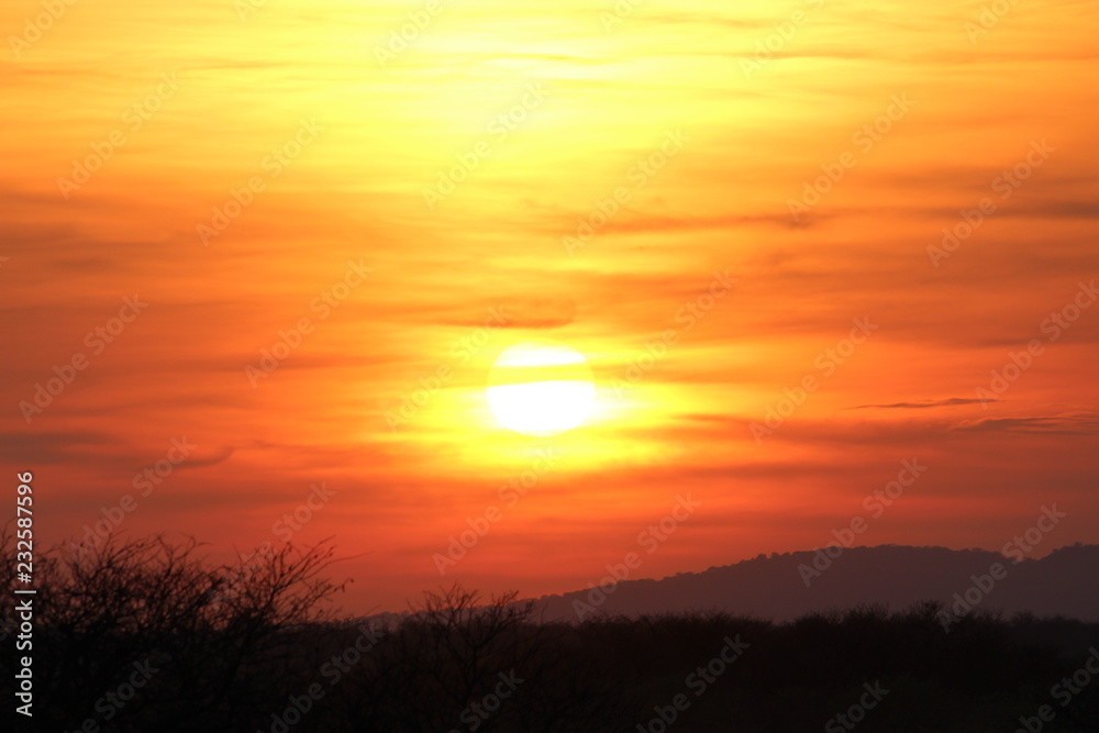 Kalahari desert sunset
