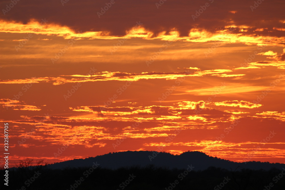 Kalahari desert sunset