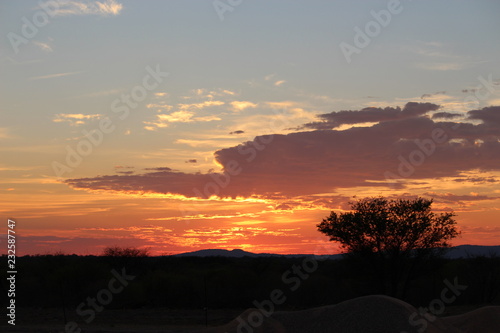 Kalahari desert sunrise