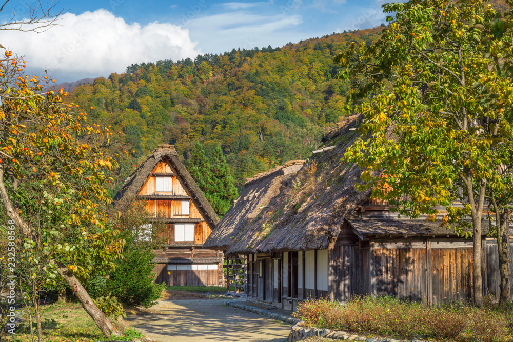 岐阜県　秋の白川郷の紅葉