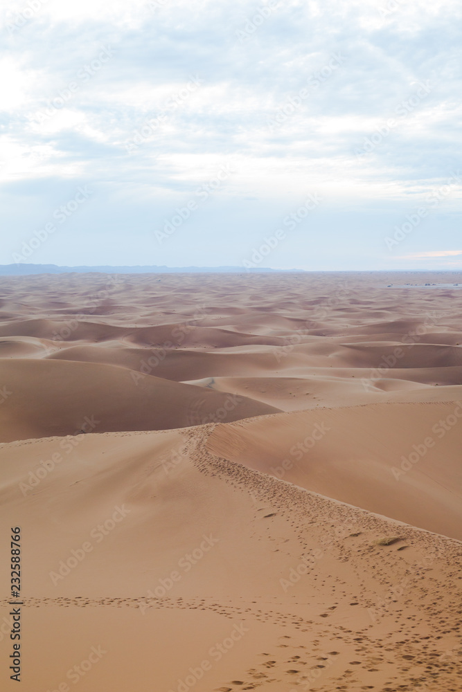 In the desert In the desert
