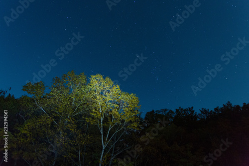 青森県 蔦沼の夜景