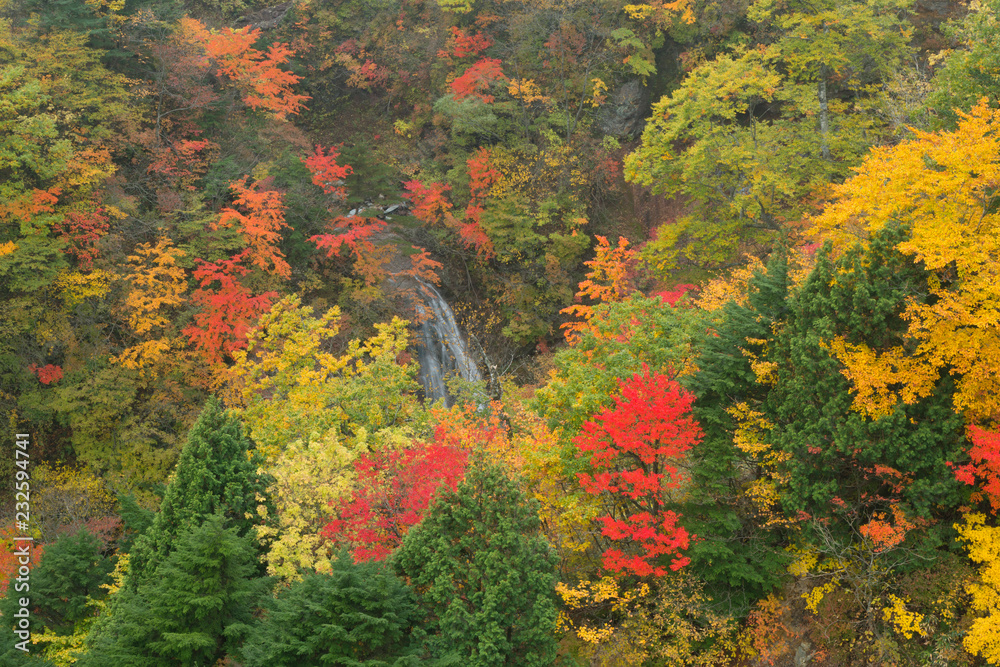 岩手県 松川渓谷の紅葉 岩手県 松川渓谷の紅葉