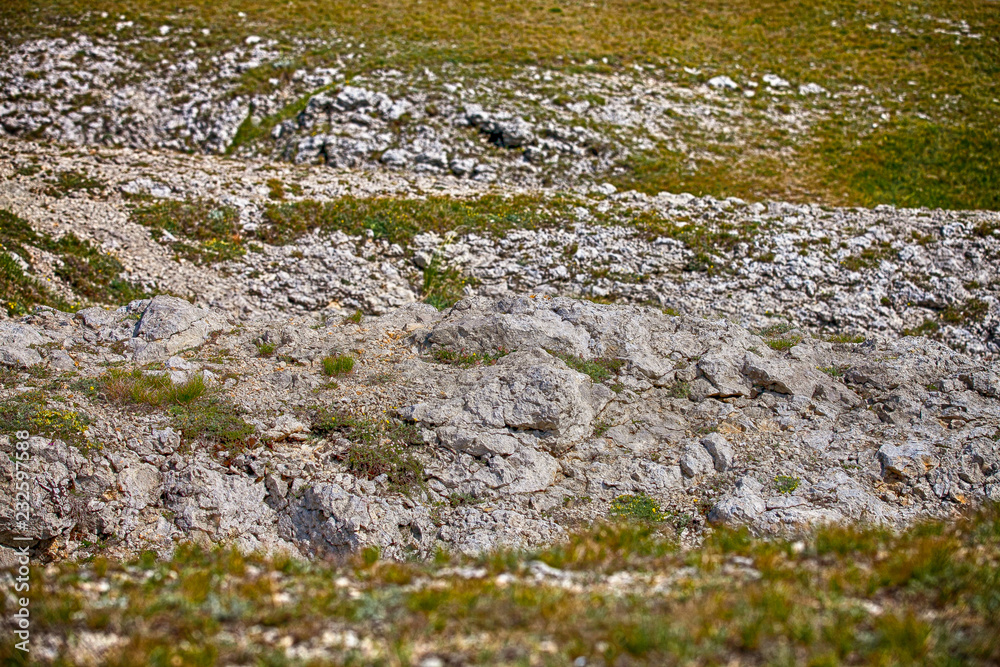 Rocky stones with green grass Rocky stones with green grass