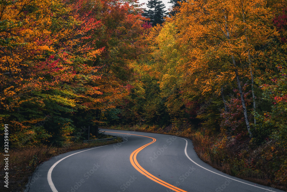 Autumn Country Road In The White Mountains
