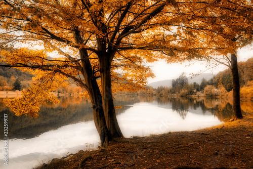 Ghirla Lake in autumn soft landscape photo