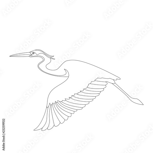 the heron is flying vector illustration   lining draw  