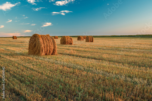 Rural Landscape Field Meadow With Hay Bales During Harvest In Su