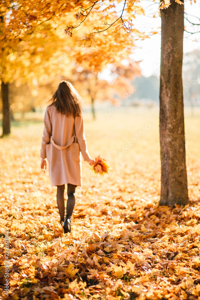 Season and people concept - beautiful happy young woman having fun with leaves in autumn park. Girl walking, resting outdoors Season and people concept - beautiful happy young woman having fun with leaves in autumn park. Girl walking, resting outdoors