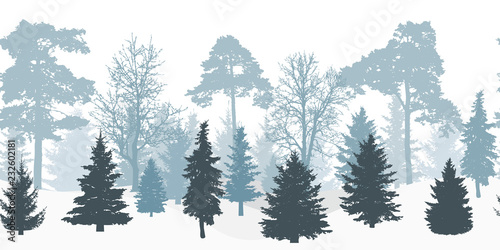 Seamless winter forest silhouette  panorama. Vector illustration.