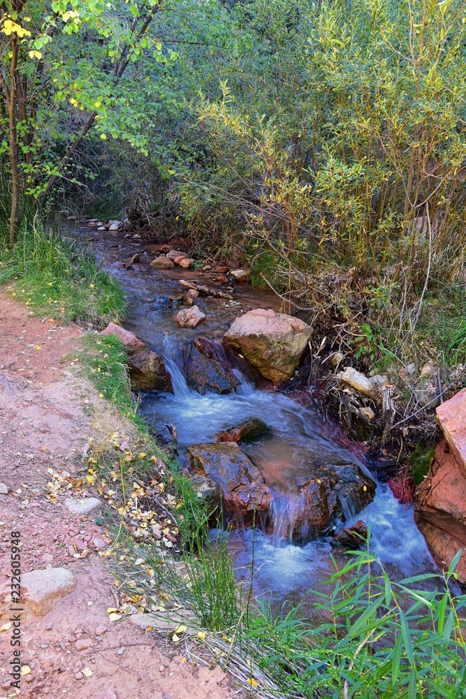 Fototapeta premium Kanarraville Falls, views from along the hiking trail of falls, stream, river, sandstone cliff formations Waterfall in Kanarra Creek Canyon by Zion National Park, Utah, USA.