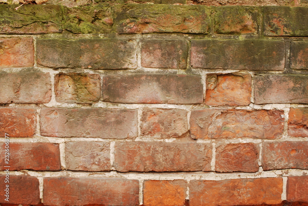 Obraz premium Стена кирпичная