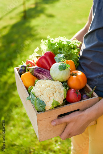 man holds wooden box or crate full of freshly harvested vegetables. Green grass background. Harvest a garden. Gardening and healthy food concept. Copy space © KaterynaNovikova