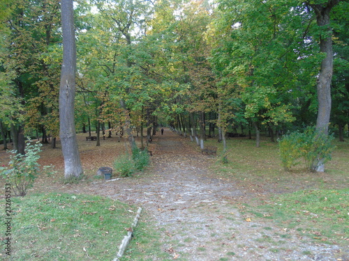 path in the park
