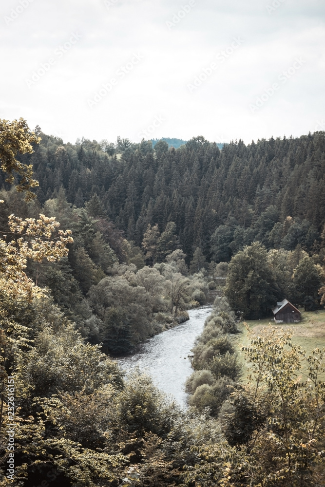 Fotografie River in small valley with many trees on both sides