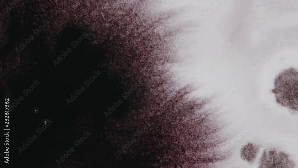 Slow motion dark red ink spreads on white wet paper