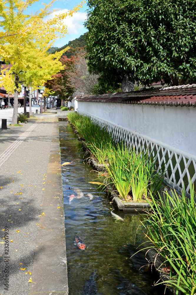 Fototapeta premium 津和野 殿町通り 島根県津和野町
