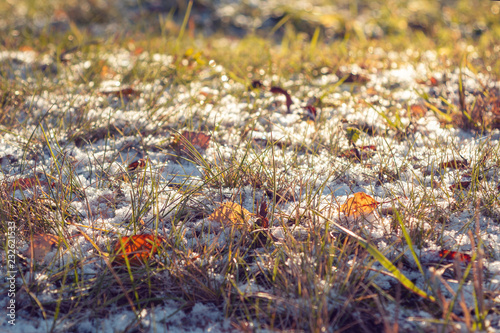 First snow on the green grass and fallen leaves in autumn. Symbol of the coming winter. Natural background texture