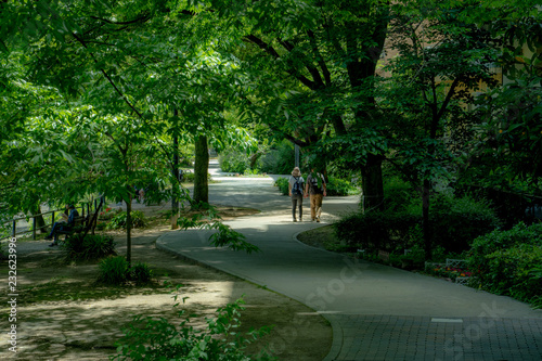 広島市内の公園