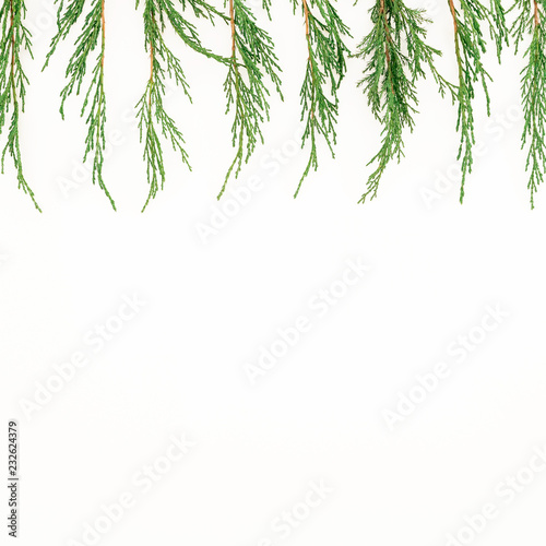 Christmas border frame of tree branches on white background. New Year background. Flat lay, top view