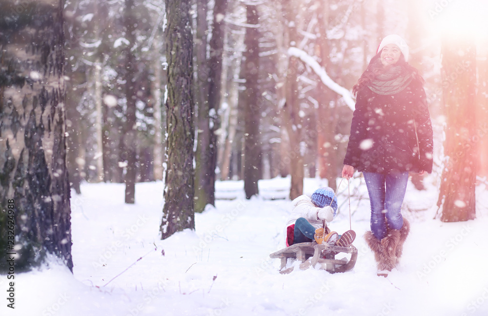 A winter fairy tale in the forest.