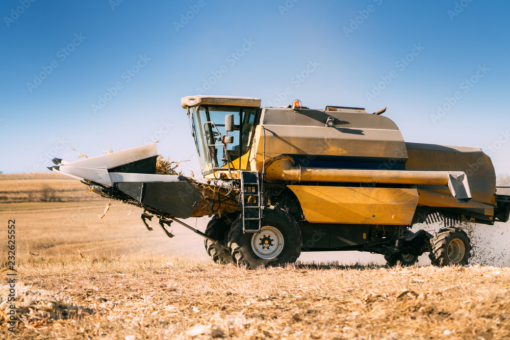 Fototapeta premium Combine working in agricultural fields. Farmer using combine harvester and collecting corn