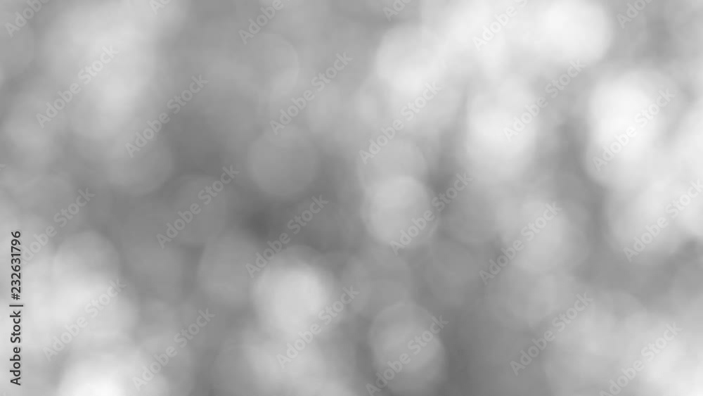 Balck and white video footage blur abstract background. Beautiful soft bokeh of blurred nature plants shoot outdoors in 4k. 