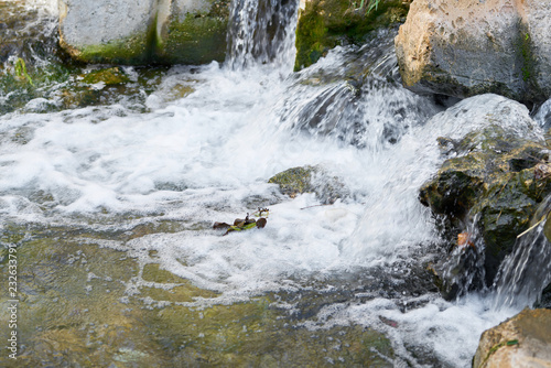 River in the nature