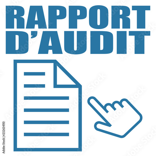 Logo rapport d'audit.