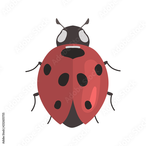 Ladybug color vector icon. Flat design