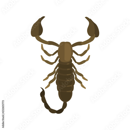 Scorpion color vector icon. Flat design © egorvector
