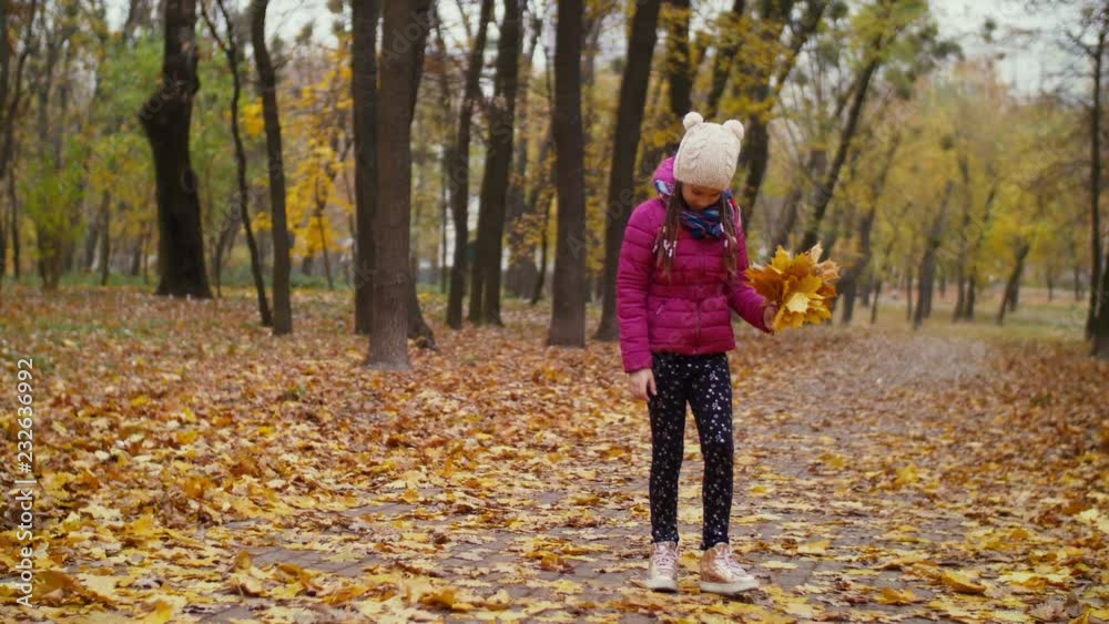 Adorable elementary age girl collecting autumn bouquet of yellow fallen foliage while enjoying nature in autumn park. Lovely little child arranging composition of yellow maple leaves in autumn. Adorable elementary age girl collecting autumn bouquet of yellow fallen foliage while enjoying nature in autumn park. Lovely little child arranging composition of yellow maple leaves in autumn.