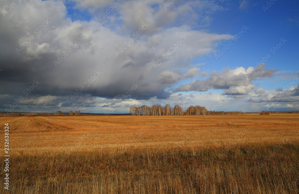 autumn, field, Altai, Corn,Clouds, Sky