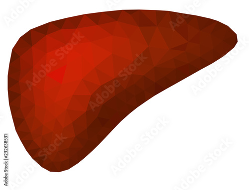 Abstract polygonal vector image of the liver