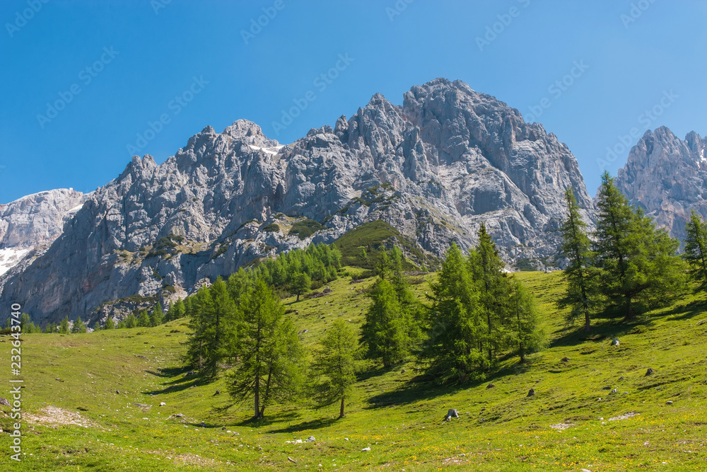 View closeup Alpine rocks in National park Dachstein, Austria, Europe