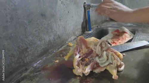 Woman housemaid slaughter chicken in the dirty kitchen