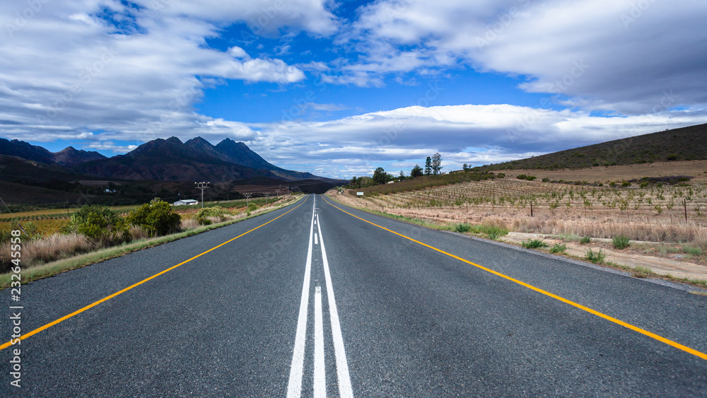 Fototapeta premium Road Wine Vineyards Mountains