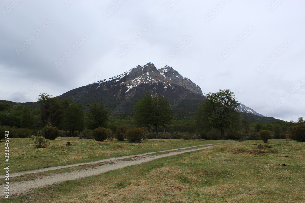 Path  to  the  mountain