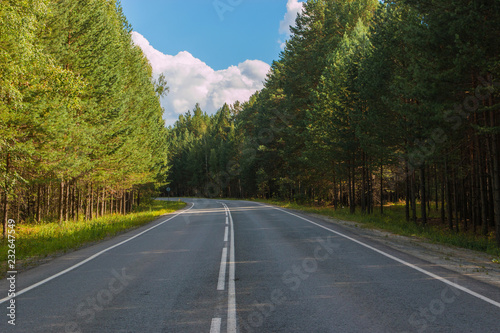 Road through green deep forest in Russia