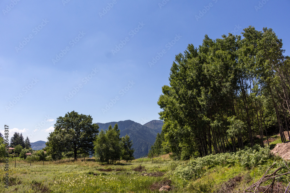 Obraz premium Landscape in Rhodopes
