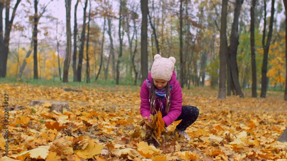 Excited carefree cute little girl throwing yellow fallen autumn leaves up while having fun and playing outdoors in fall season. Positive smiling child tossing colorful autumn foliage up in the air. Excited carefree cute little girl throwing yellow fallen autumn leaves up while having fun and playing outdoors in fall season. Positive smiling child tossing colorful autumn foliage up in the air.