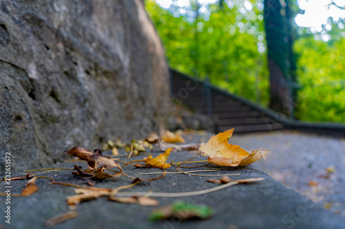 Steinbank im Herbst