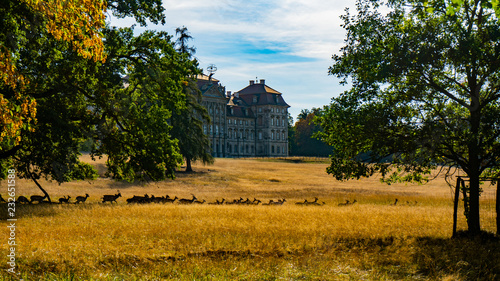 Rehe vor einem alten Gebäude
